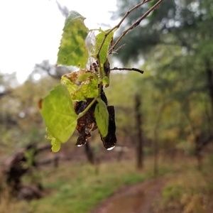 Meet your Posher, Lyda